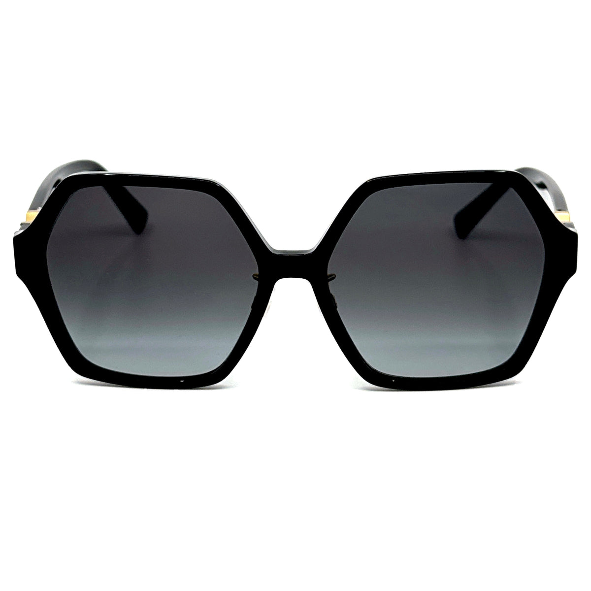 VALENTINO SUNGLASSES | VA4088-F 3001/8G