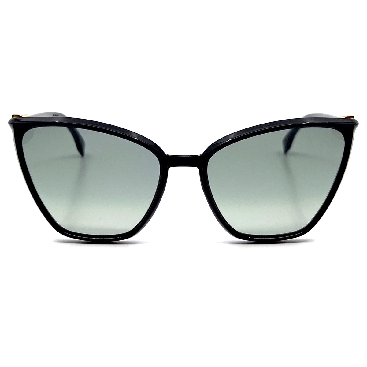 FENDI SUNGLASSES | FF0433/G/S 8079O